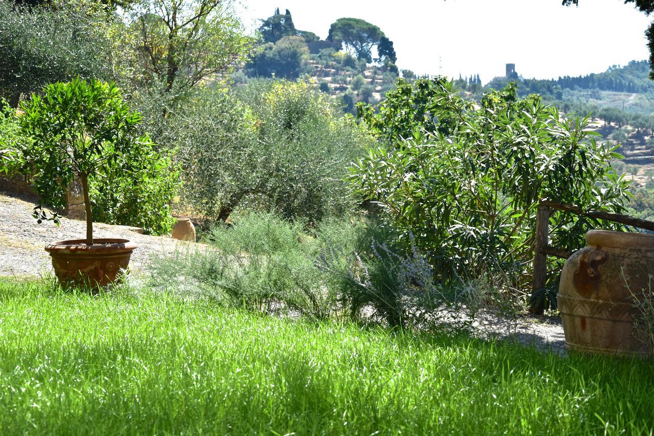 Palazzina Del Chiasso Bed and Breakfast San Martino in Freddana Buitenkant foto