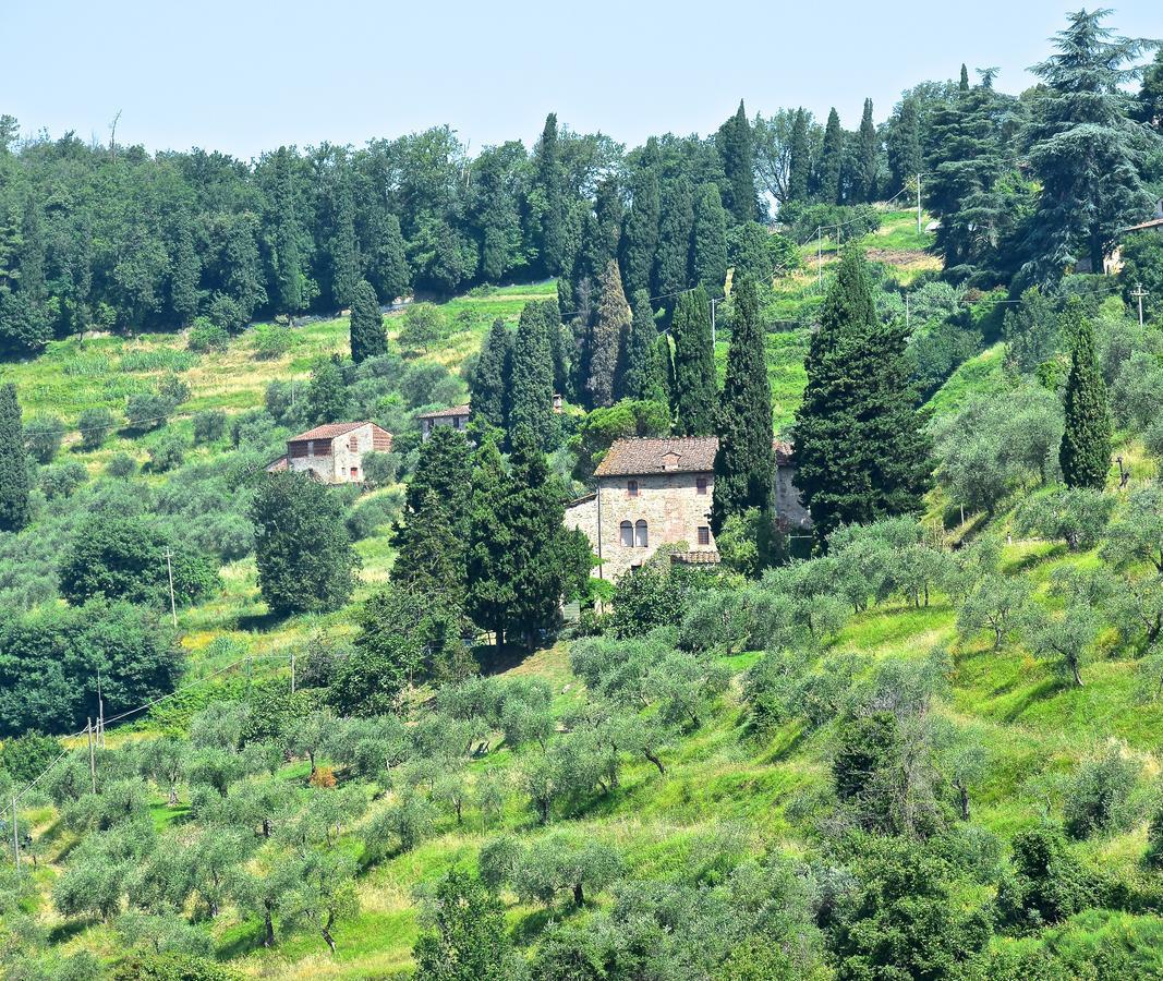Palazzina Del Chiasso Bed and Breakfast San Martino in Freddana Buitenkant foto