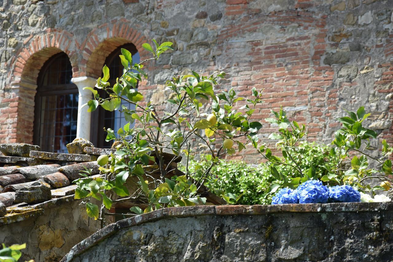 Palazzina Del Chiasso Bed and Breakfast San Martino in Freddana Buitenkant foto