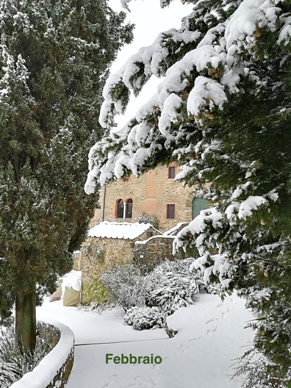 Palazzina Del Chiasso Bed and Breakfast San Martino in Freddana Buitenkant foto